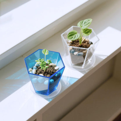 HappyDino Clear Plant Pot with Drainage Acrylic 6 inch Plant Pot Small Indoor Planter Box Outdoor with Saucer for Succulent, Decorative and Sturdy