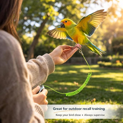 Parrot Bird Harness Leash Anti-bite Outdoor Flying Training Rope with 5pcs Different Sizes of Soft Foot Loops and Training Whistle(Upgraded Version of Ankle Ring)