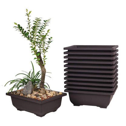 MUZHI 12PACK RetroStyle Plastic Bonsai Training Pots Balcony Indoor Rectangle Square Flower Pots 6"
