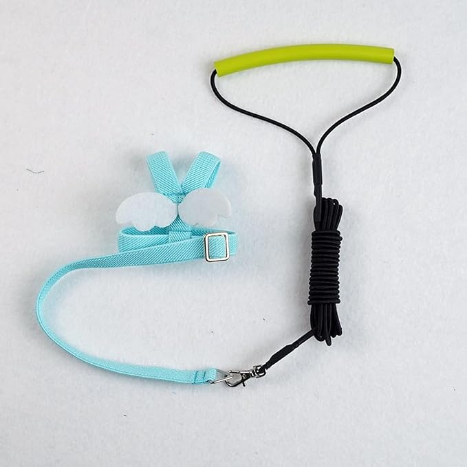 Bird Harness Leash Adjustable Outdoor Training Flying Harness Traction Rope with Cute Wing for Parrots Pigeons Budgerigar Lovebird Cockatiel Mynah (M,Blue)
