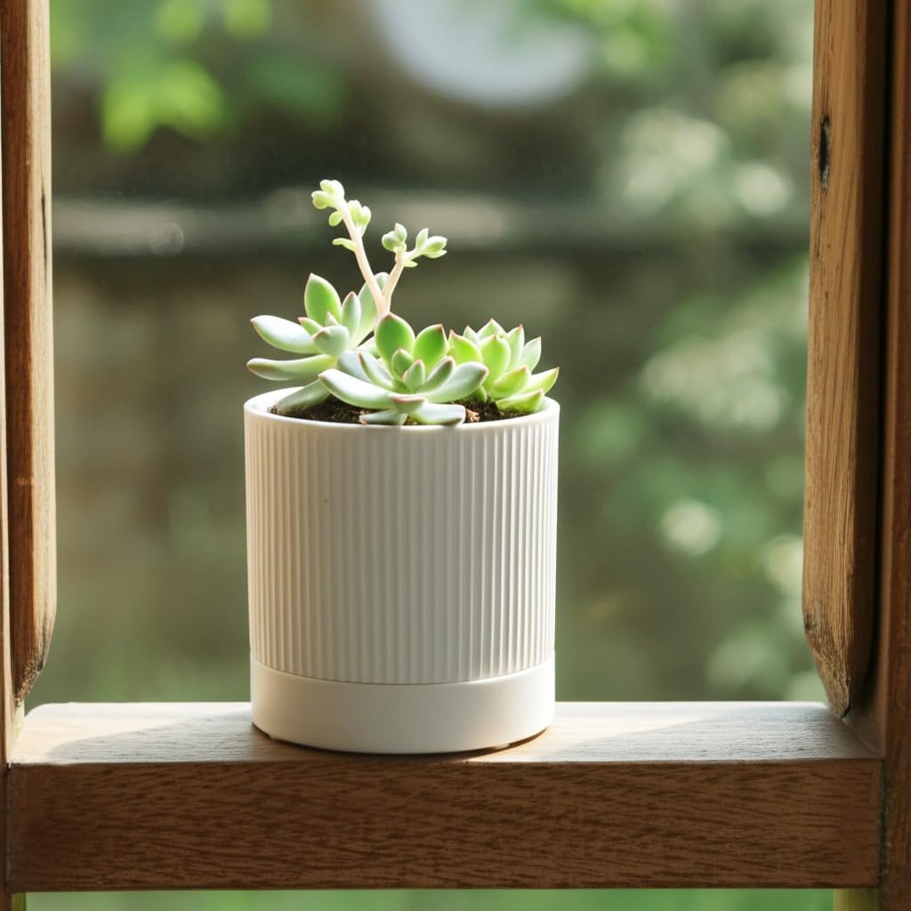 HERDUK Small Plant Pots, 4 Inch Pots for Indoor Plants, Modern Minimalist Ceramic Plant Pots with Drainage Hole & Saucer, White Set of 2