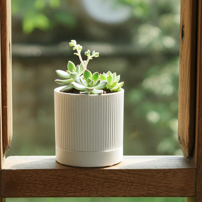 HERDUK Small Plant Pots, 4 Inch Pots for Indoor Plants, Modern Minimalist Ceramic Plant Pots with Drainage Hole & Saucer, White Set of 2