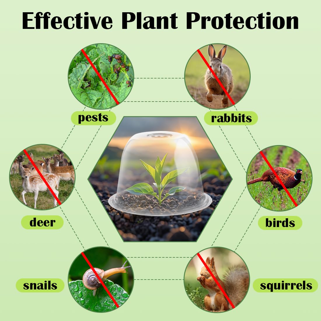 10" D × 6.7" H Plant Protectors from Animals, Garden Cloches for Seedlings Nursery Pots, Durable Humidity Domes with Ventilation Holes, Clear Plant Covers, Mini Greenhouse for Plants 5-Pack
