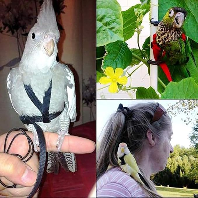 Adjustable Bird Harness and Leash,Anti-Escape Durable Nylon Parrot Harness, Flying Training Rope Parrot Leash for Small Medium Large Breed Parrots Fits Chest Under 24.4'', Purple L