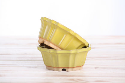 Willow Bonsai Ceramics Flower Design Bonsai Pot 4.5 Inch – Elegant Ceramic Bonsai & Succulent Planter, High‑Fired Frost‑Proof Stoneware with Drainage & Wiring Holes, Handmade in USA (Yellow)