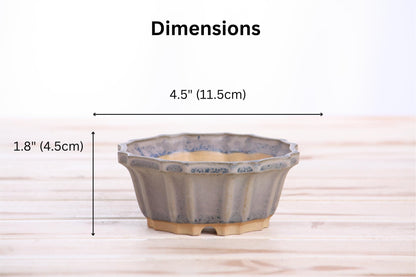 Willow Bonsai Ceramics Flower Design Bonsai Pot 4.5 Inch – Elegant Ceramic Bonsai & Succulent Pot, High‑Fired Frost‑Proof Stoneware with Drainage+Wiring Holes, Handmade USA (Ocean, 4.5inch)