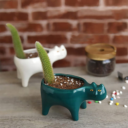 DIYOMR Cat Planter Animal Succulent Pots, Ceramic Cat Mini Flower Pots Cactus/Plants Containers for Home Office Desk Windowsill Decor, Plants Not Included (2Pcs)