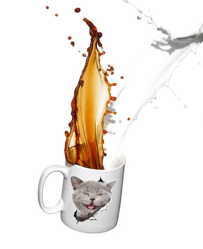 Winston & Bear Laughing Grey Cat Coffee Mug - Funny Ceramic Coffee Mug Gift for Cat Lovers - Cute Novelty Cup for Men and Women (15oz)