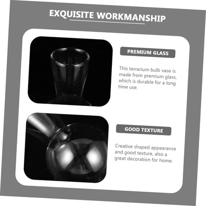 ifundom 2pcs Hydroponic Glass Bulb Vases for Indoor Plants Self-Watering Feature Terrarium Decorative Flower Pots for Home Decor