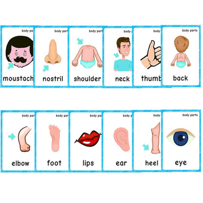 Set of(Body Parts+Illness) Flash Cards for Toddlers | Kids Learning Montessori Pocket Cards Toys | Perfect for Pre-K Decorations Background Wall Stickers,Teacher/Autism Therapists Tools