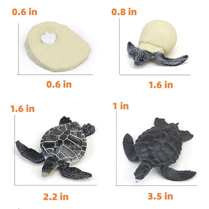 MIKNEKE Montessori Life Cycle Animal Figures with Flash Cards, Realistic Animal Figurines Toy, Educational Matching Game for 3+ Year Old Toddlers Kids (Turtle)