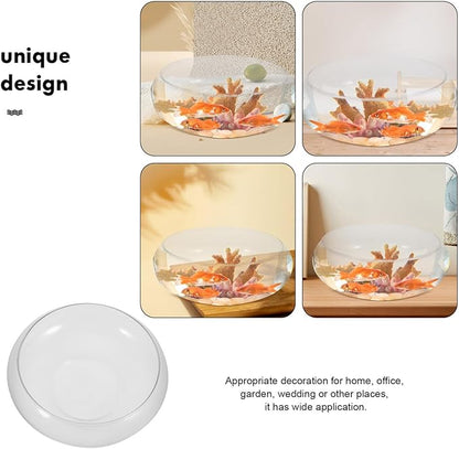 Large Glass Fish Bowl 9.84 Inch Transparent Desktop Aquarium for Goldfish, Hydroponic Plant Pot, Shallow Fish Tank for Home Decor