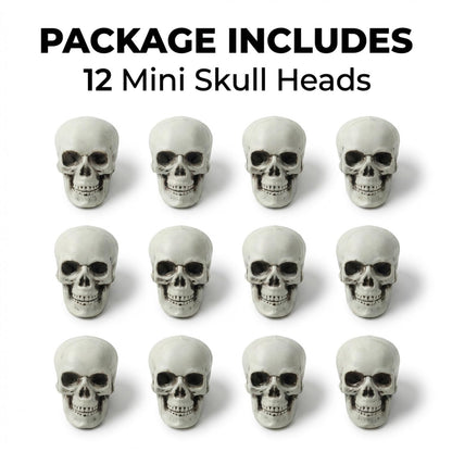 12 PCS Mini Skull Heads, 2 Inch Realistic Plastic Skeleton Skulls for Halloween Decor, Gothic Home Decor, Haunted House Props, DIY Crafts & Party Table Decor
