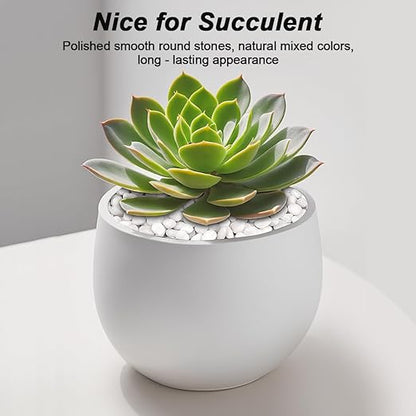 Succulent Rocks,Virekm River Rocks,Decorative Ornamental Pebbles,Garden Landscaping Stones,Gravel Filler for Home Decoration Flower Bed Fish Tank Plants Vases Succulents (1, White, 2 Pounds)