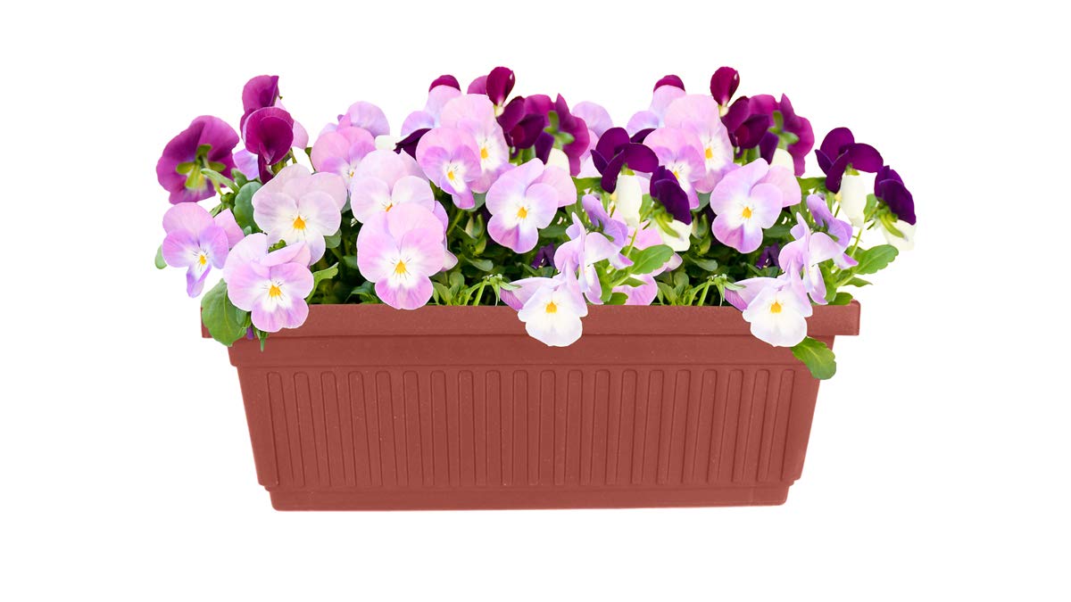 The HC Companies 18 Inch Venetian Rectangular Window Planter Box - Lightweight Plastic Indoor Outdoor Plant Pot with Drainage for Windowsill, Herbs, Flowers, Clay (Pack of 2)