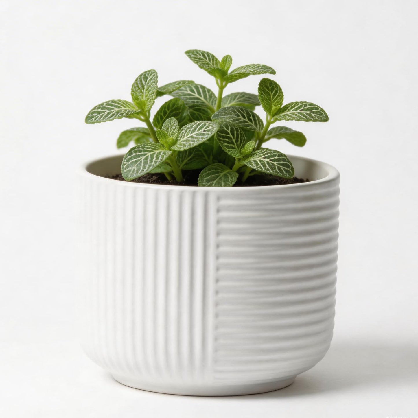 maryeadecoor Ceramic Plant Pots with Drainage Holes 6" - Creamy White Planters for Indoor Outdoor Plants - S(Small-6“)