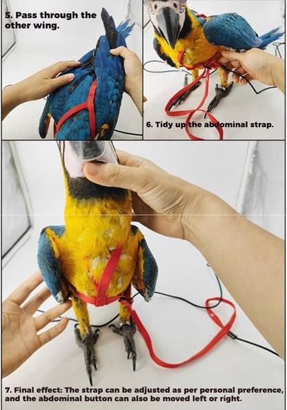Adjustable Bird Harness and Leash for Parrots Outdoor Flight Training Anti-Bite Light Weight Easy-to-Wear Bird Vest with 59 Inch Elastic Leash for Quaker Conure African Grey Macaw Cockatoo (S)