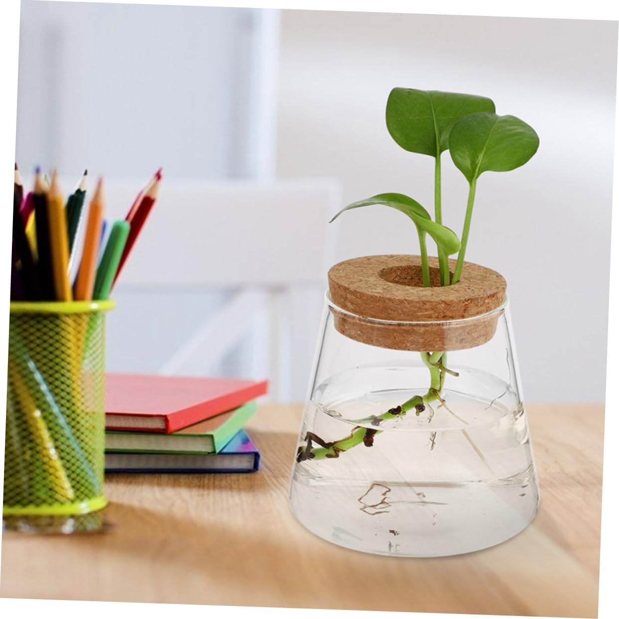 3pcs Hydroponic Glass Plant Vase with Wood Lid Compact Desktop Propagation Station for Plants Clear Terrarium Bottle for Flower Lovers Enhances Indoor Atmosphere
