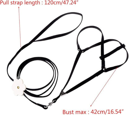Adjustable with Elastic Leash for Bird Easy Control Harness Leash Vest Flying for Cross Band, Orange