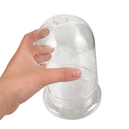 HOLIDYOYO Landscape Terrarium Bottle Glass Display Jar for Plant Arrangements for Home Office Garden Decor