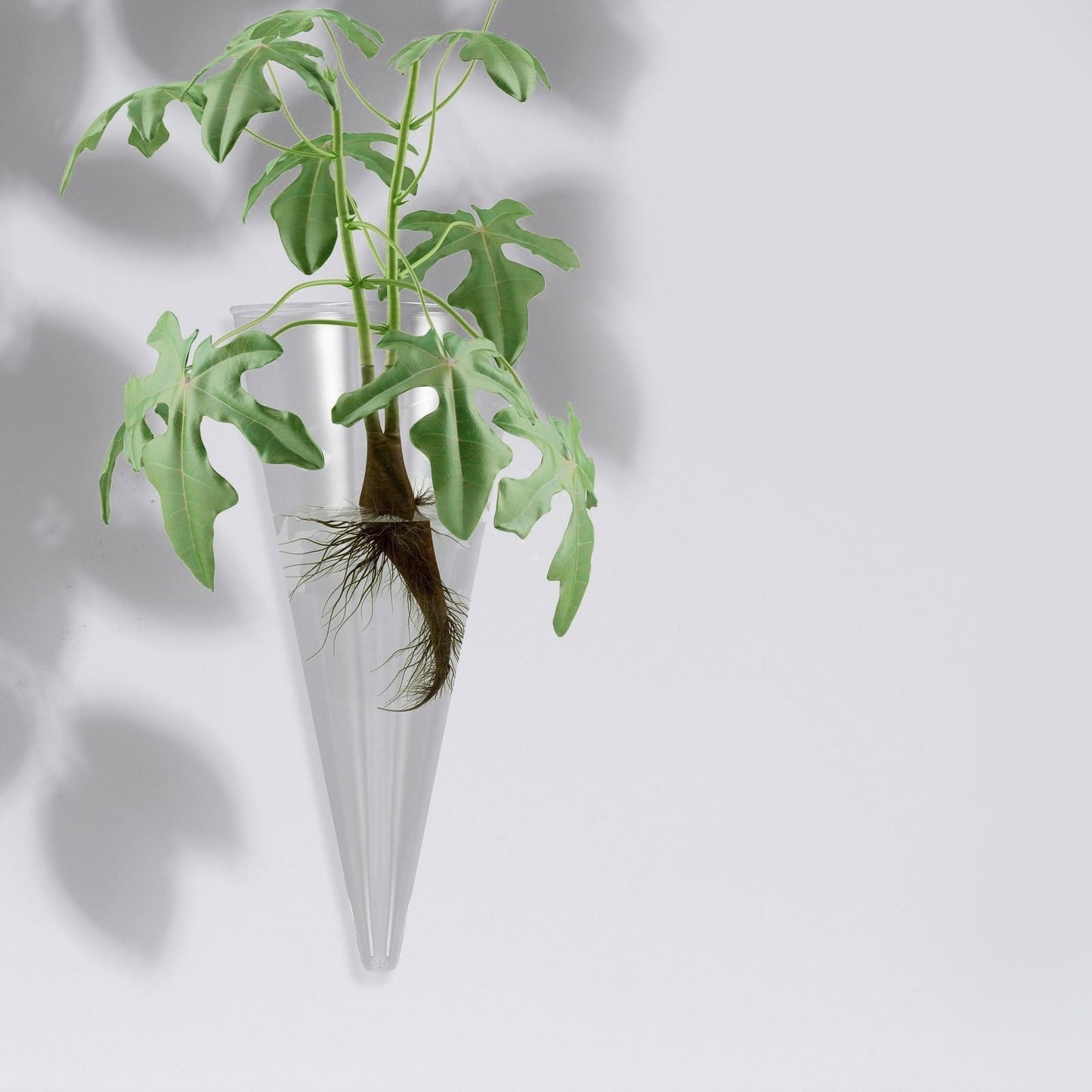 Cone Shaped Wall Vase: Clear Glass Hanging Planter - Reusable Wall Mounted Flower Vase for Succulent, Hydroponic Plant Propagation & Modern Home Decor