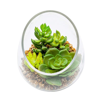 Restaurantware-4.7 x 5 Inch Faux Succulent, 1 Artificial Succulent - In Incline Edge Glass Terrarium, Use As Table Or Shelf Decor, Centerpiece, Plastic Fake Desk Plant, For Homes Or Weddings