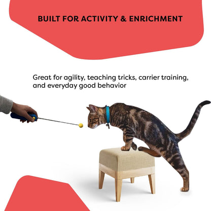 Cat Training Clicker with Detachable Wearable Finger Clicker & Target Stick – Positive Reinforcement Training Tool for Cats – Ideal for Behavior, Tricks & Enrichment