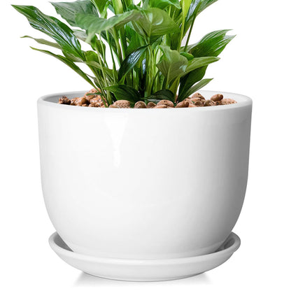 YUFDA 8 Inch Ceramic Planter, Plant Pots with Drainage Hole and Separable Saucer,Indoor-Outdoor Round Succulent Orchid Flower Pot,Indoor pots for Plants(Smooth White,Plant Pot only)