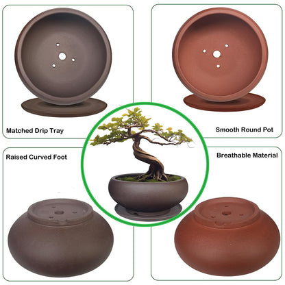 MUZHI 5.3” Round Ceramic Bonsai Starter Pots with Trays Set of 2 Brown and Red, Small Vintage Unglazed Succulent Pots with Saucers Minimalist Classic Mame Bonsai Planter with Drainage