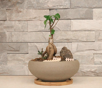 MUZHI Round Unglazed Ceramic Bonsai Pot with Bamboo Tray, Large Rough Pottery Succulent Planter with Drainage Hole 8 inch … (8”)