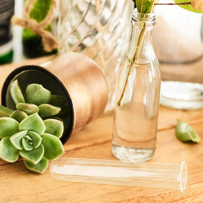 BUTIFULSIC 4pcs Glass Test Tube Hydroponic Vases for Plant Propagation, Small Glass Containers for Desk Terrarium and Flower Display, 2.5x3x18cm
