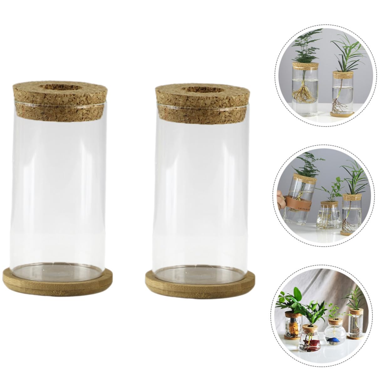 MAGICLULU Glass Hydroponic Vase Set for Succulents and Green Plants, Glass Flower Arrangement Container with Mat, 6.5x12cm, 2pcs Home Décor Terrarium Planter
