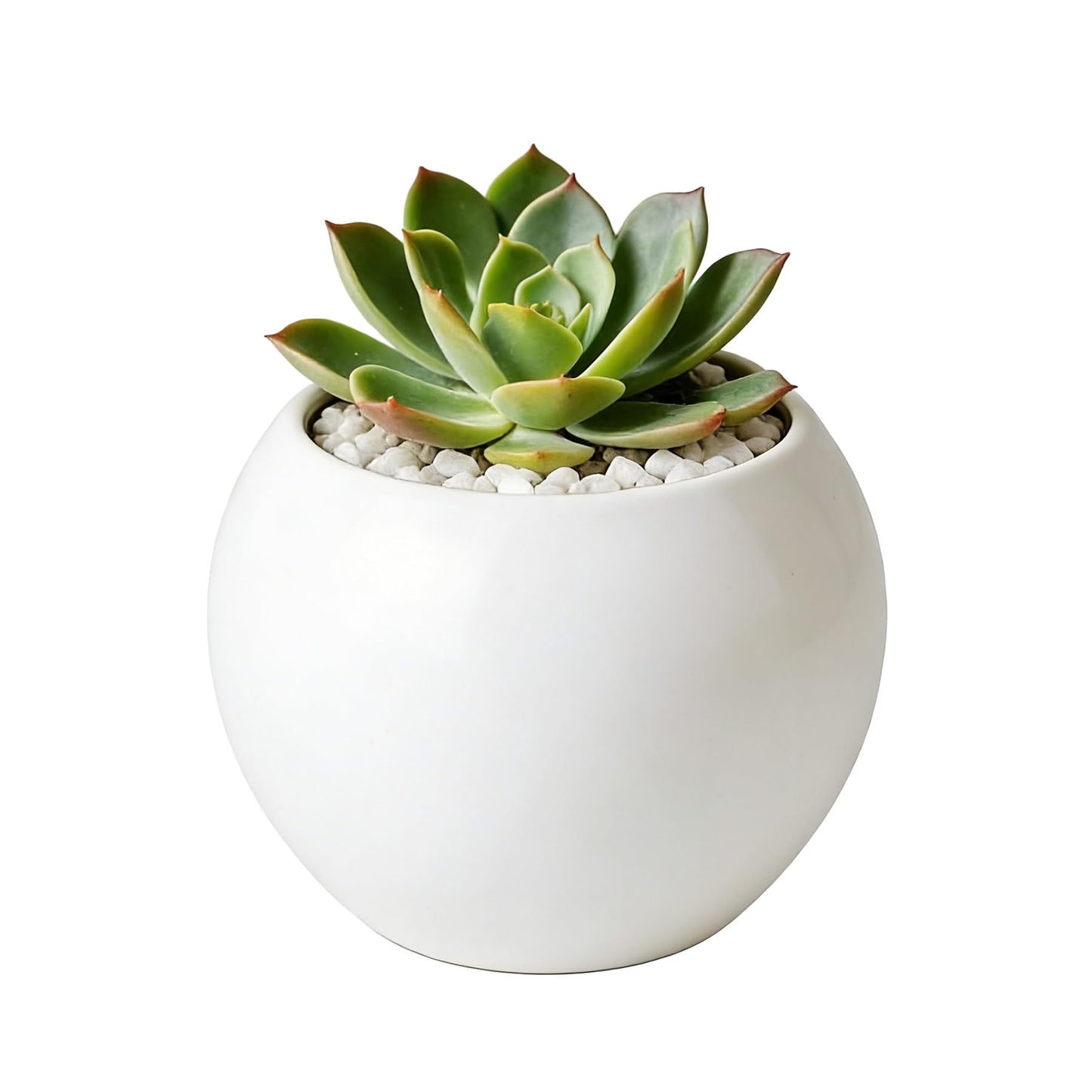 NEONWE White Spherical Ceramic Planter Succulent Small Plant Pots Indoor Modern Round Decorative Indoor-Outdoor Garden Plant Pots with Drainage Holes - Plants Not Included 3.94 x 3.94 x 3.15 Inch