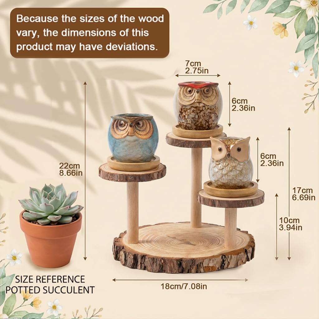 2.5"mini ceramic Cute Owl Animal Succulent Flower Pot Outdoor Bamboo Wooden Small Planter Stand Gift Set for Home,Office,Living Room,Bedroom Decoration,Windowsill,Indoor Desk,Kitchen Decor (3 Tier)