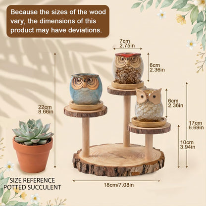 2.5"mini ceramic Cute Owl Animal Succulent Flower Pot Outdoor Bamboo Wooden Small Planter Stand Gift Set for Home,Office,Living Room,Bedroom Decoration,Windowsill,Indoor Desk,Kitchen Decor (3 Tier)