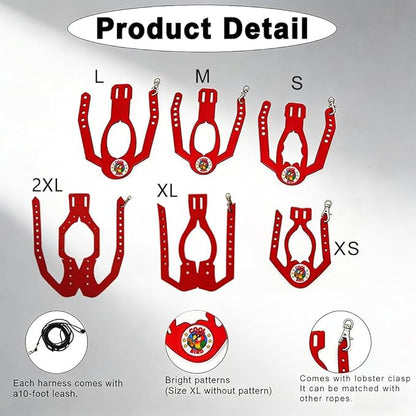 Adjustable Bird Harness & Leash Set for Small Birds,FitsBudgie,Parakeets, Conures, Cockatiels,Green Cheek,Quaker Parrots(Red, 2XL) Z6350-12