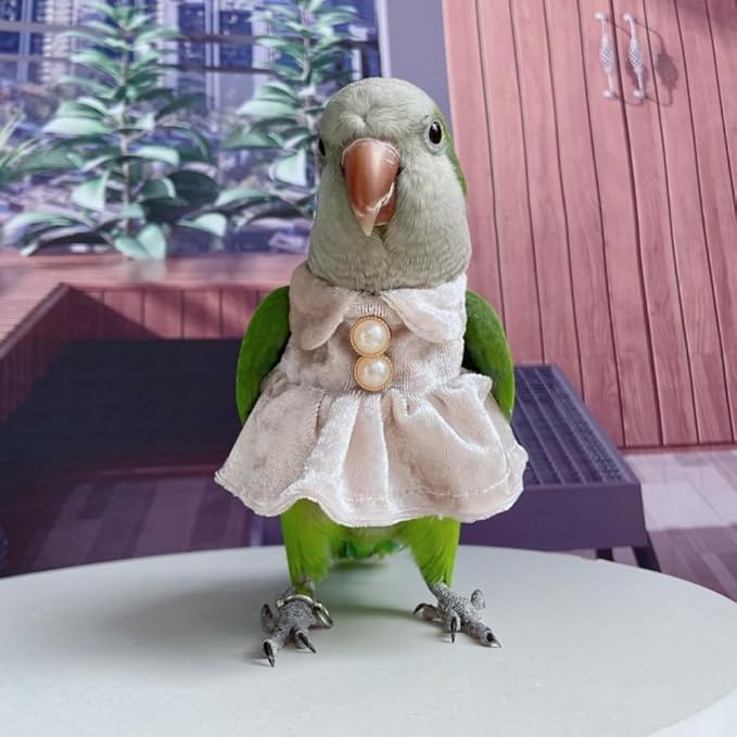 Bird Costume Bird Diaper Flight Suit Parrot Velvet Fleece Skirt Clothes Cosplay Photo Prop for Conure Lovebird Parakeet Cockatiel Macaw Small Animals Apparel (White,Medium)
