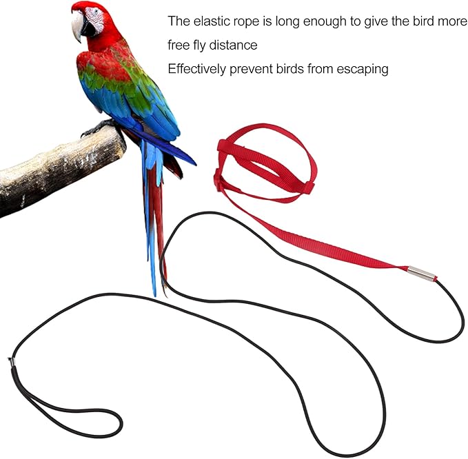 Elastic Parrot Harness Leash Bird Leash Bite Proof Harness Adjustable Parrot Flying Training Rope with Metal Hook Nylon Webbing for Cockatiels Walking (XL)