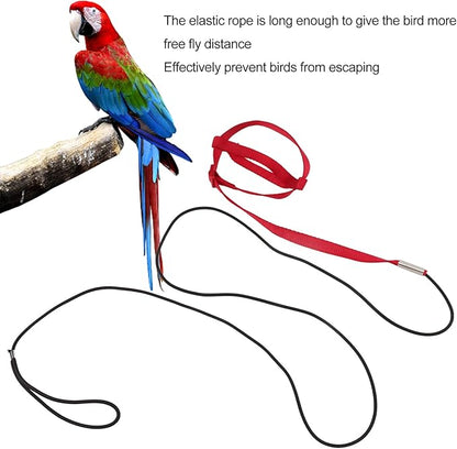 Elastic Parrot Harness Leash Bird Leash Bite Proof Harness Adjustable Parrot Flying Training Rope with Metal Hook Nylon Webbing for Cockatiels Walking (S)