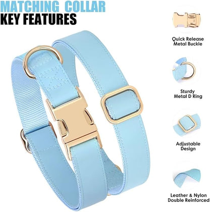 PET ARTIST Soft PU Leather Dog Collar and Leash Set, Bright & Stylish 5FT PU Leather Leash and Collar Set, Durable Pet Collars with Quick Release Metal Buckle for Medium Dogs,Blue,M(13-19")