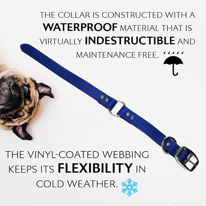 Regal Dog Products Large Blue Waterproof Dog Collar and Leash Set | Heavy Duty Double Buckle & D Ring - 5'ft Leash | Adjustable Biothane Dog Collar | Chew Resistant Waterproof Collar for Dogs