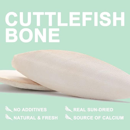 Natural Cuttlebone for Birds Parakeets Canaries Cockatiels Small Conures Mynahs Toucans African Greys All Parrots Snails Totoise, with Holder for Bird Cage (4-5 inch,2PCS)