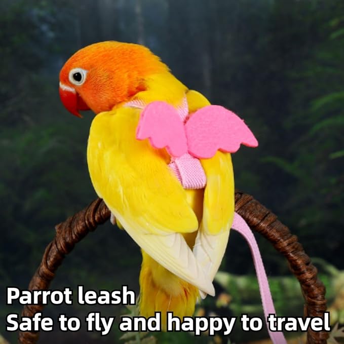 Pet Parrot Bird Harness and Leash, Adjustable Training Design Anti-Bite, Bird Nylon Rope with Cute Wing and Colorful Leash for Parrots Lovebird Cockatiel Conure Budgie (Purple with 78.7inch Leash,S)