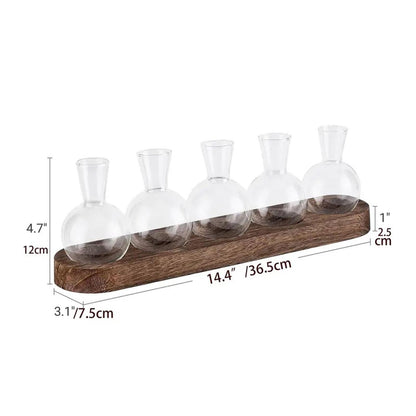 BLWOTMOR Plant Terrarium Desktop Glass Glass Vase
