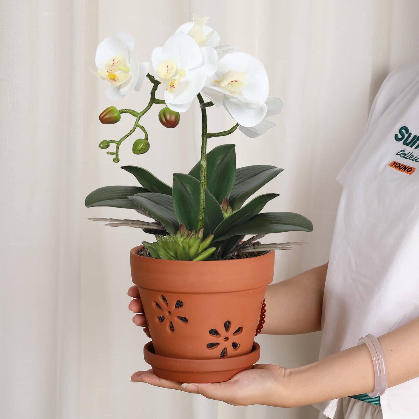 JUXYES Pack of 3 Small Terracotta Orchid Pot with Holes and Saucers, 6 Inches Clay Orchid Planter Pots for Repotting, Plant Flower Pots for Orchid Indoor and Outdoor Promotes Air Circulation