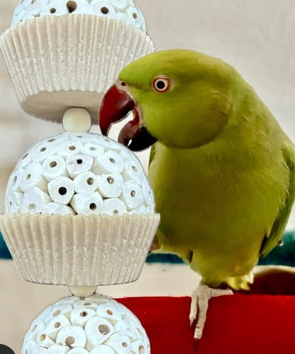 Shred and Destroy Bird Toy for Medium Birds - Conures, Cockatiels - Natural Sola Ball Hanging Chew Toy - 2 Pack - Boredom Buster Cage Toy