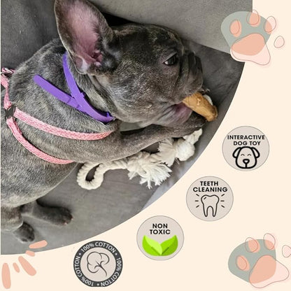 Cotton Rope Dog Toy with Coffee Wood Handles – Natural Chew & Tug Toy for Dogs – Durable, Eco-Friendly & Safe for All Breeds