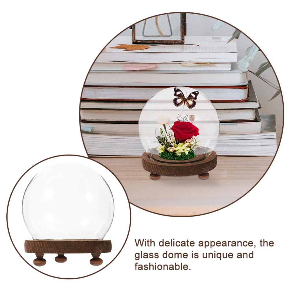 MAGICLULU Clear Glass Cloche Dome Bell Jar with Wood Base 10cm DIY Snow Globe Kit Craft Keepsake Display Case Terrarium for Preserved Flower Plant Succulent
