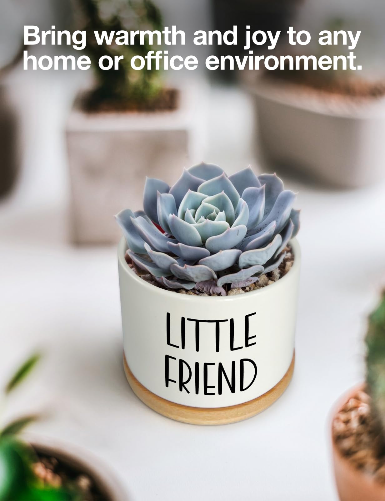Cgvovgr Say Aloe to My Little Friend Small Planter Pot, Funny Succulent Planter Pots Set of 2, Windowsill Decor Indoor, Small Succulent Pots for Women Plant Lovers, 3.5 inch (Plant Not Included)