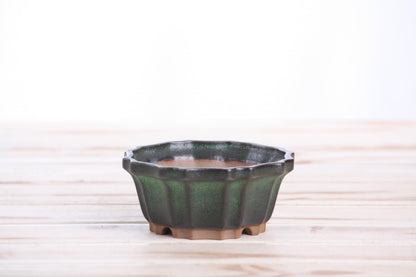 Willow Bonsai Ceramics Flower Design Bonsai Pot 4.5 Inch – Elegant Ceramic Bonsai & Succulent Planter, High‑Fired Frost‑Proof Stoneware with Drainage & Wiring Holes, Handmade in USA (Avocado)